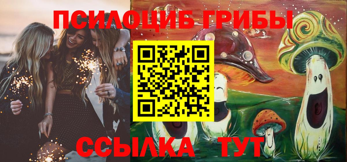 где можно купить наркотик  Галлюциногенные грибы мицелий  Вход с VPN  Боровичи 